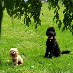 Meet your Posher, Cathy